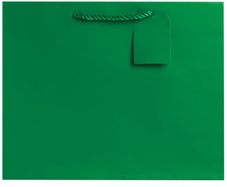 Jillson Roberts 6-Count Large 12.5 x 10 x 5 Gift Bags Available in 12 Solid Colors, Green Matte