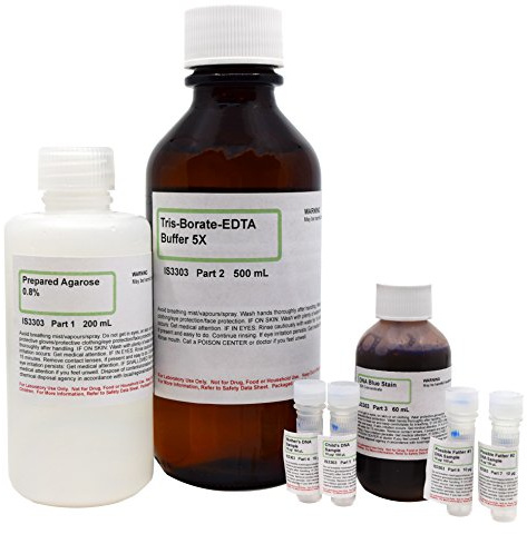 DNA Paternity Testing Electrophoresis Lab Activity - Materials for Up to 8 Student Groups - The Curated Chemical Collection by Innovating Science