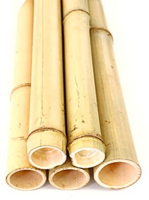 1 tube de bambou de 180 cm, jaune, avec un diamètre de 4,8 à 6 cm, pour la construction de clôtures brise-vue, tige de bambou Moso blanchie de 1,8 m