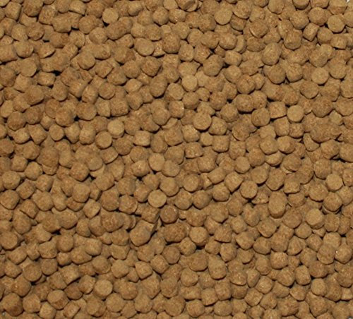 Unbekannt Saito Professional Koifutter, Premium Schwimmfutter der Spitzenklasse für optimales Wachstum, leuchtende Farben und eine tolle Körperform bei Koi aller Varietäten, 15kg Sack, 5mm Koipellets