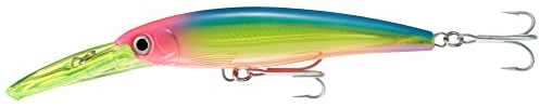 Rapala - X-Rap Magnum Angelköder - Angelzubehör mit großer Tauchschaufel - Salzwasser Spinnköder- Lauftiefe 9m - Fischköder 16cm, 72g - Hergestellt in Estland - Blue Bonito