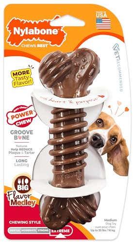 Nylabone Juguete masticable en Forma de Hueso para la higiene Dental de Perros con mordida agresiva, Hueso con Textura, Mezcla de sabores, para Perros Adultos de hasta 16 Kilos 138 g