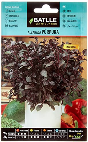 Graines aromatiques de Batlle - Basilic pourpre (2g), violet