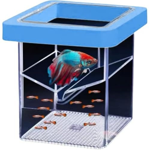 Floating Fish Tank Breeder Box - Transparent Thickened Aquarium Isolation Box for Fish Breeding, Easy to Install and Space-Saving (Blue)