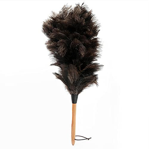 BYNYXI Spolverino da 38 cm, 2 pezzi di struzzo con piume di struzzo, manico in legno di faggio e manico telescopico, piuma artificiale, piumino per spolverare Ostrich Feather Duster per camera