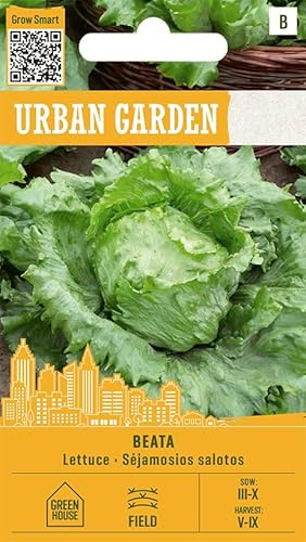 Organic Way | Laitue - BEATA Graines de légumes | Laitue Iceberg mi-précoce | Gros choux jusqu’à 500 g | Pour plein air et tunnels | Croquante, fraîche et productive | 1 sachet