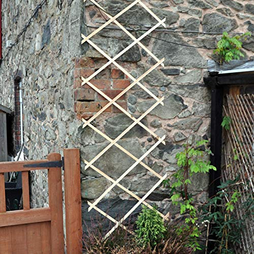 Garden Mile® 1ft 2ft 3ft Wooden Expandable Garden Trellis Outdoor Expanding Flexible Robust Climbing Plant & Vegetable Support Natural Wood Garden Lattice (6ft x 2ft)