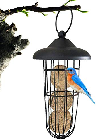Support de boulette de mésange, mangeoire pour Oiseaux, Station d'alimentation pour Oiseaux pour boulettes de mésange sans Filet à accrocher, Support de boulette de Nourriture pour Oiseaux