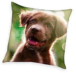 Herding Coussin Décoratif, Young Collection Chiot, 40 x 40 cm, Polyester