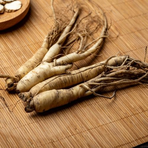 ginseng per la cucina con orto di Panax ginseng esotiche da balcone rialzate da giardino organiche per la copertura del terreno 160semi
