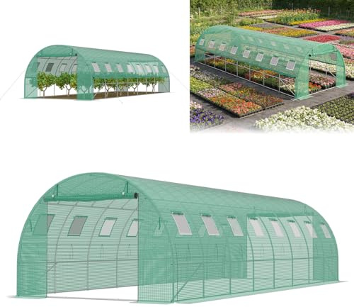 ACXIN Växthus 8 x 3 x 2 m, folieväxthus med galvaniserad stålram, 140 g/m² PE-gallerfolie, 16 fönster och 2 dragkedjedörrar, vintersäker folietunnel för tomathus tomatväxthus