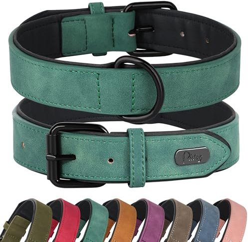 Didog Hundehalsband aus weichem, gepolstertem Leder, atmungsaktives, strapazierfähiges Hundehalsband aus Leder mit Verstellbarer, rostfreier Metallschnalle für mittelgroße und große Hunde, Grün, L
