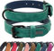 Didog Hundehalsband aus weichem, gepolstertem Leder, atmungsaktives, strapazierfähiges Hundehalsband aus Leder mit Verstellbarer, rostfreier Metallschnalle für mittelgroße und große Hunde, Grün, L