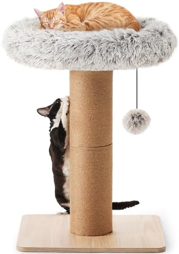 FUKUMARU Kratzbaum für Katzen – 71 cm hoher Kratzturm mit Katzenliege für Erwachsene Katzen im Innenbereich, 14 cm breiter Kleiner Katzenbaum mit Bett, Katzenmöbel