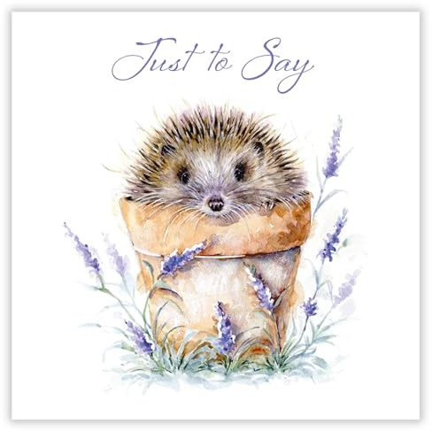 Noel Tatt Blank Notecards Pack of 6 - Blank Notecards for All Occasions - Artistic Hedgehog and Flower Pot Design - Eco-Friendly Blank Cards Multipack with Envelopes