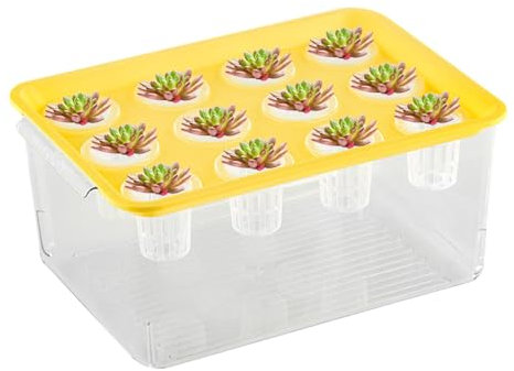 Planteur et aquarium aquaponique pour poissons - Planteur et aquarium pour Betta Fish - Station de distribution d'installations - Favorise un environnement hydroponique sain pour la décoration de