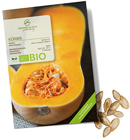 BIO Kürbis Samen (Butternut, 6 Korn) - Kürbis Saatgut aus biologischem Anbau ideal für die Anzucht im Garten, Balkon oder Terrasse