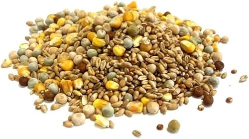 Mixed Pigeon Corn 15kg Premium Quality Bird Food