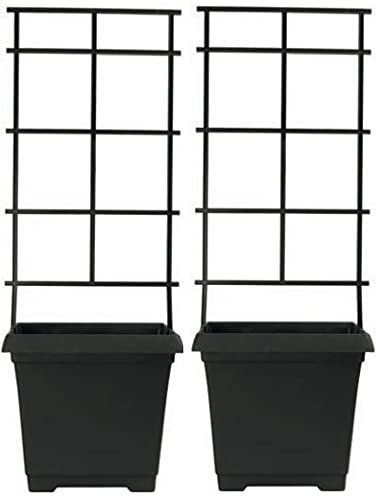 Muddy Hands Set of 2 – 9.7 Litre Black Plastic Trellis Planters Climbing Plants Support Sweet Pea Runner Bean Tomato Plant Pots
