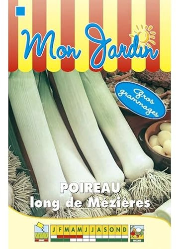 Sachet de graines de Poireau long de Mézières GROS GRAMMAGE - 12 g - légume bulbe - LES GRAINES BOCQUET