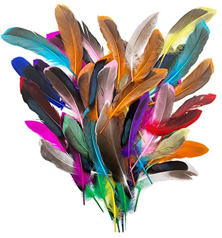 laeeyin 50 Stück Federn Bunte Federn Zum Basteln, Feder Deko für DIY Ohrring, Hochzeit, Traumfänger, Kopfschmucksfedern, Schulhandwerk