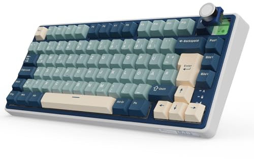 RK ROYAL KLUDGE R75 Mechanische Tastatur Kabellos 75%, Gasket Gaming Tastatur 75 Prozent TKL mit Knopf QWERTZ RGB Bluetooth/2.4G/USB-C PBT Tastenkappen QMK/VIA, Hot Swap Linearer Creamy Switches