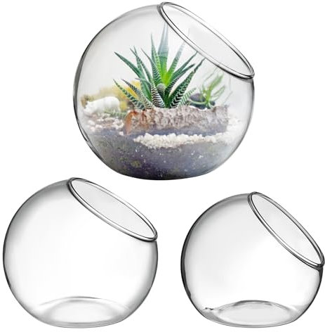 Yardwe 3 Pcs Terrarium Glass Bowl Ferns Plant Stand Decorative Bowl Live Succulents Plants Air Plant Display Holder Vase Pot Succulent Vases Flowerpot Decorations Moss Glass Ball Globe