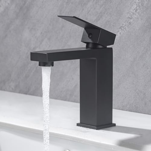 BuntHaus Grifo de Baño Monomando Negro Mate de Acero Inoxidable para Lavabo