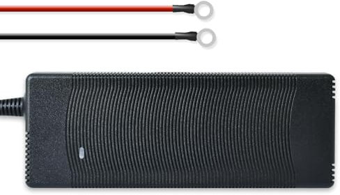 Cargador de batería de litio 10A 12/14.6V inteligente automático BMS para coche, RV, motocicleta, camión, barco