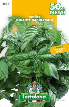 SEMENTI DI ORTAGGI DI QUALITA' IN BUSTE TERMOSALDATE DA 50 GRAMMI (BASILICO GIGANTE NAPOLETANO)