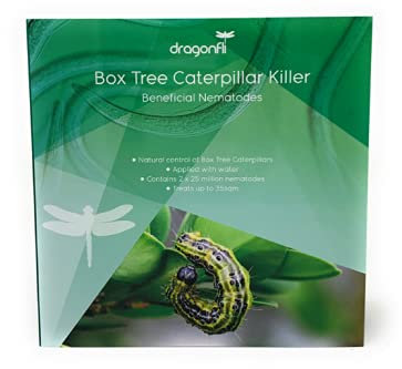 Dragonfli Box Tree Caterpillar Killer Nematodes - Protect Buxus Hedges Naturally - Covers 35sqm