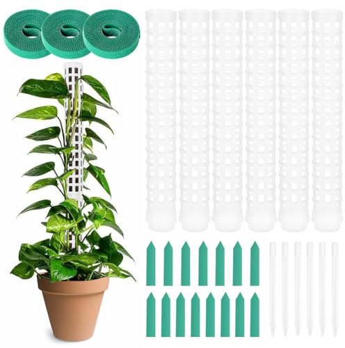 OFFCUP Tuteurs pour Plantes Grimpantes, 6pcs Poteaux de Plante en Pot
