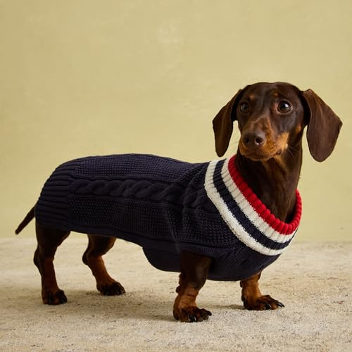 Rosewood x Joules Dawson Navy Knit Jumper for Dogs, Small, Washable, Warm and Comfy Winter Sweater for Small Dogs