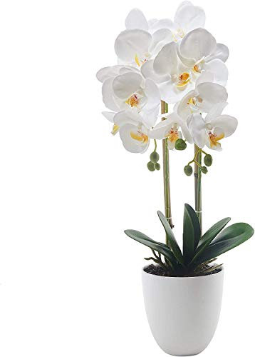 SYMALL Flores Artificiales Plástico Flor de Phalaenopsis Realista Orquídea Mariposa con Maceta Imitación Cerámica Decoración, Blanco 2
