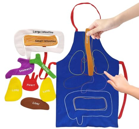 Baoqifong Grembiule con 3D, strumento pedagogico realistico per la prima infanzia, grembiule con del corpo umano, per bambini, a casa, a scuola