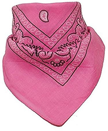 Boolavard 100% Cotton 1pcs, 6pcs or 12pcs Pack Bandanas with Original Paisley Pattern Colour of Choice Headwear/Hair