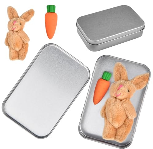 Yizemay Easter Bunny in A Box, Easter Gifts for Kids Adults, A Little Pocket Rabbit Hug Mini Bunny Hug Cute Basket Stuffer Stuffed Animals Positive Miss You Gifts.
