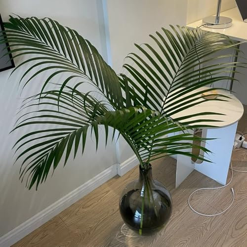 goldfruchtpalme zimmerpflanzen samen steingartenpflanzen winterhart, dypsis lutescens, seltene pflanzen hochbeet samen zimmerbonsai bonsai herbst dekoration grünpflanzen 100pcs