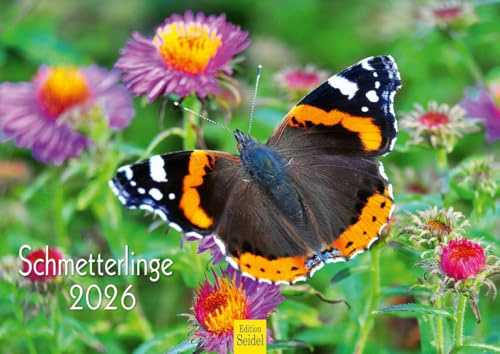 Edition Seidel Calendario premium con mariposas 2026, formato DIN A4, calendario de pared, calendario de animales, mariposas, mariposas, insectos