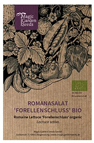 Laitue romaine 'Forellenschluss' (Lactuca sativa) Bio env. 160 semences
