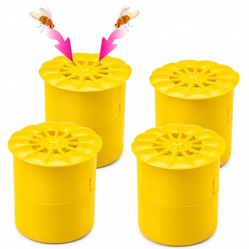 PASTACLEAN Trappola per mosche della frutta, confezione da 4, efficace trappola per mosche della frutta, senza veleno, per combattere la mosca della frutta in cucina e interni, riempibile con aceto di