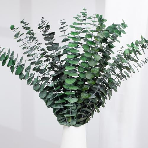 Best ZOIKOM 20 Pcs Eucalyptus Stems 17 Natural Fresh Green Eucalyptus Plant for Flower Arrangement Home Wedding Party Decoration
