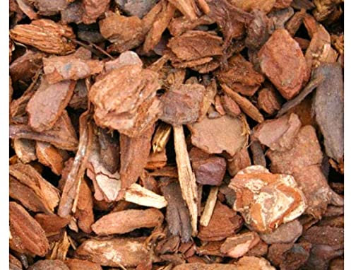 Generico 2 Sacchi terriccio Orchidea 10lt Vigorplant