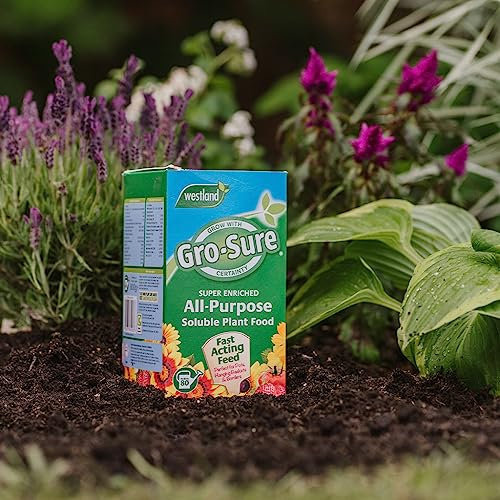 800g All-Purpose Soluble Plant Food – Fertiliser for Flowers, Shrubs, Fruits, and Vegetables - Plant Food Fertiliser For Optimum Growth For Flowers, Shrubs, Fruits And Vegetables