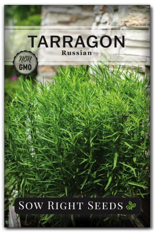 Sow Right Seeds - Russian Tarragon Seeds for Planting - Little Dragon - Non-GMO Heirloom Packet with Instructions for Planting a Beautiful Herb Garden - Rare Culinary Herbs for Home Gardening (1)