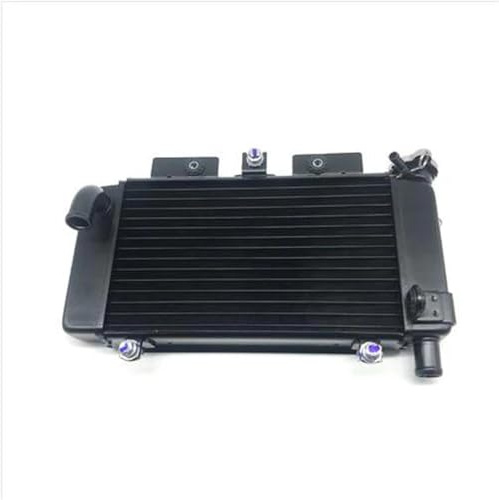 motocicleta radiador Para C&FMOTO Para 250SR Accesorios De Motocicleta Tanque Agua Conjunto Radiador Anticongelante Refrigerante STRIVING BIRD