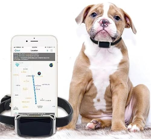 Mini GPS-spårare vattentät för hundar katter och alla husdjur lokaliseringssystem med larm och mikrofon för fjärrlyssnande (G12P)