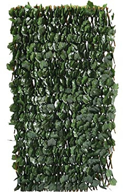 Clôture en treillis de saule Fragon - 200 x 100 cm - Vert