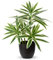 Oairse Piante finte da 41 cm in vasi neri, pianta artificiale di dracaena decorativa piante in vaso finte realistiche piante da interno per casa, bagno, soggiorno, cucina, mensola, decorazione da