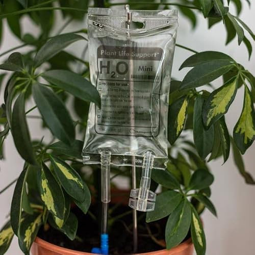 Bubblegum Stuff - Mini Plant Life Support Drip Irrigation Device for House Plants | Automatic Watering System | 3.5 Fluid Ounces - Plant Waterer for Indoor Plants…